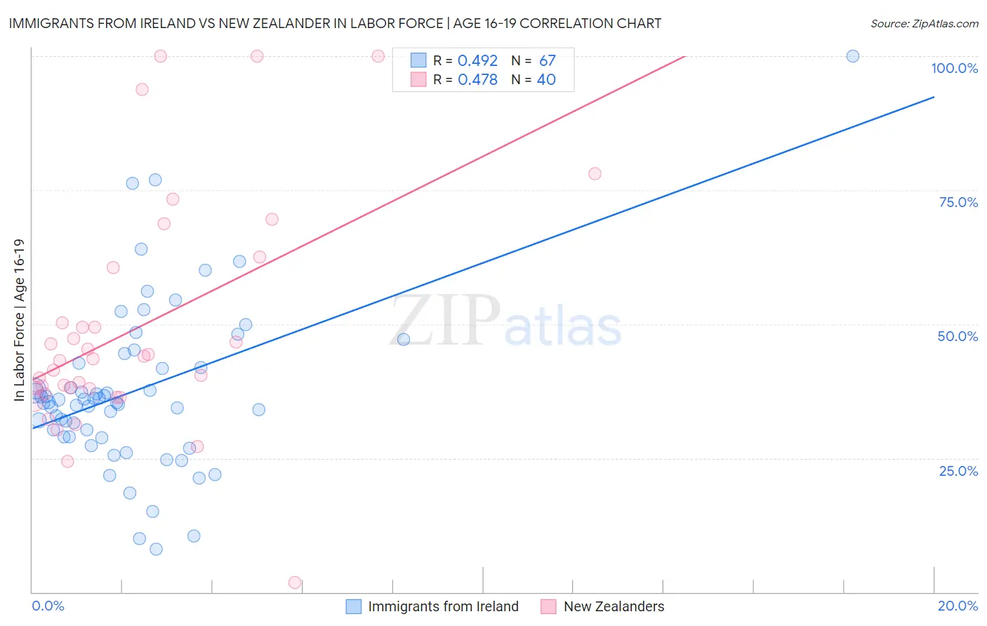 Immigrants from Ireland vs New Zealander In Labor Force | Age 16-19