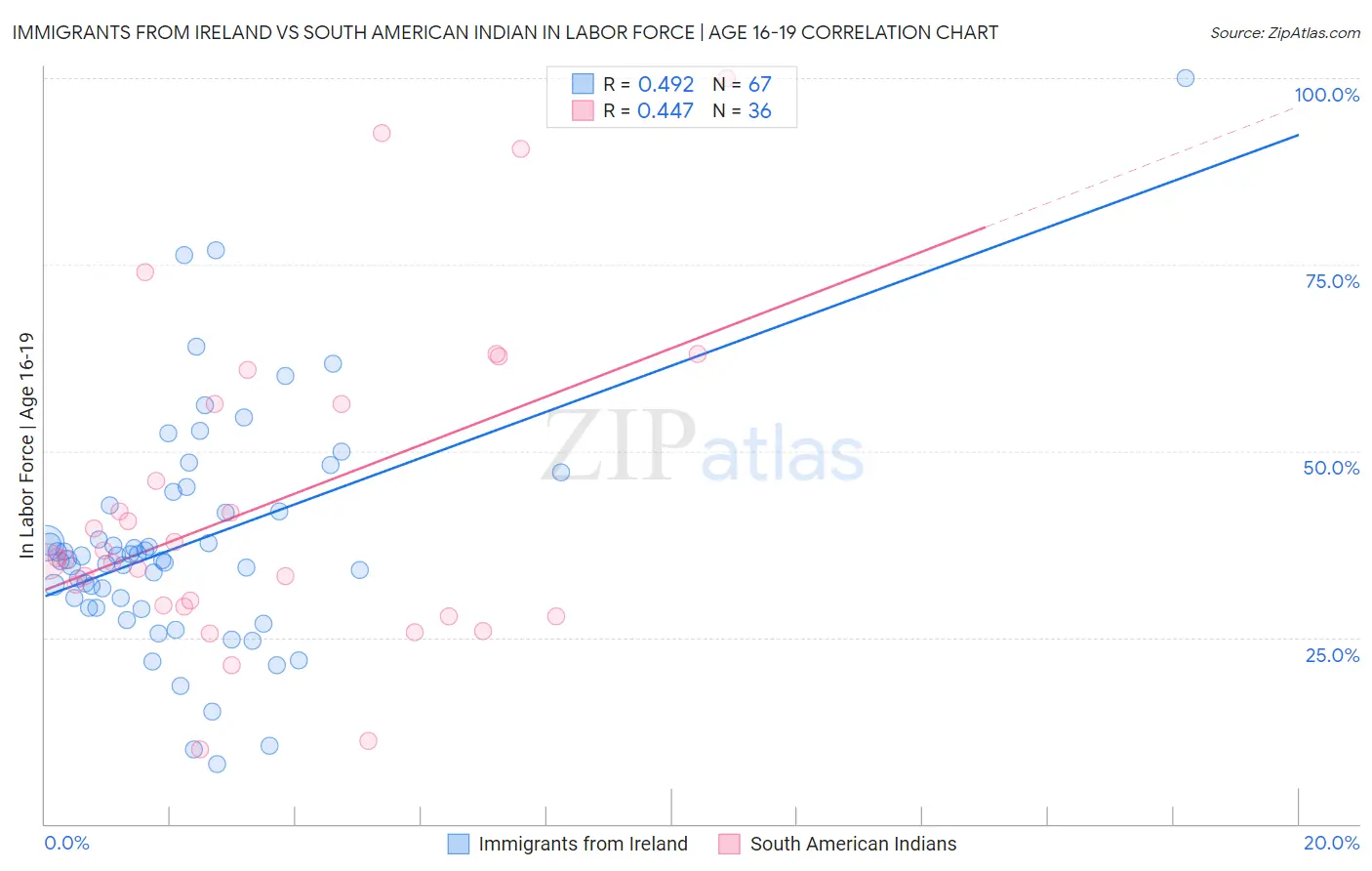 Immigrants from Ireland vs South American Indian In Labor Force | Age 16-19