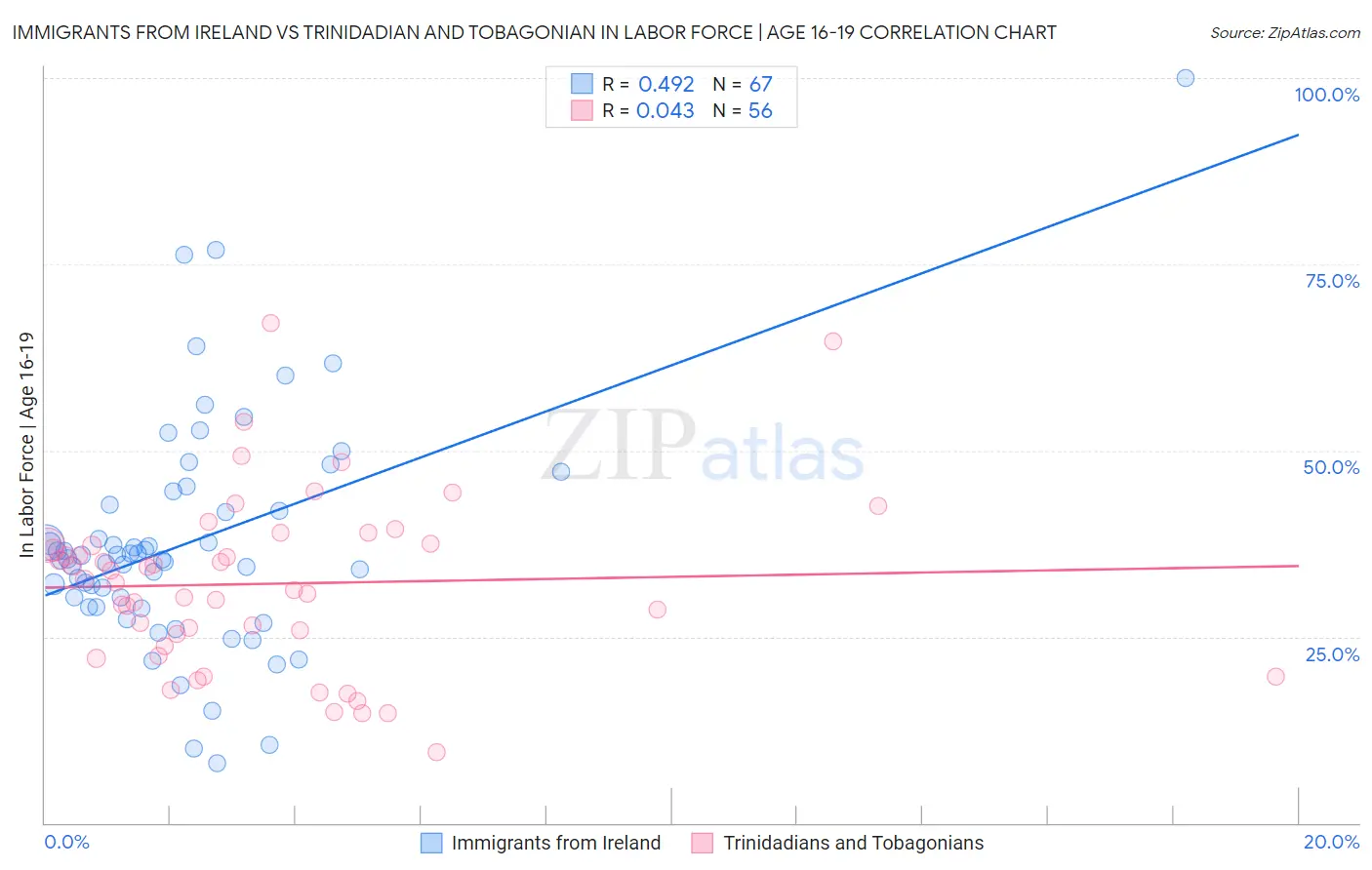 Immigrants from Ireland vs Trinidadian and Tobagonian In Labor Force | Age 16-19