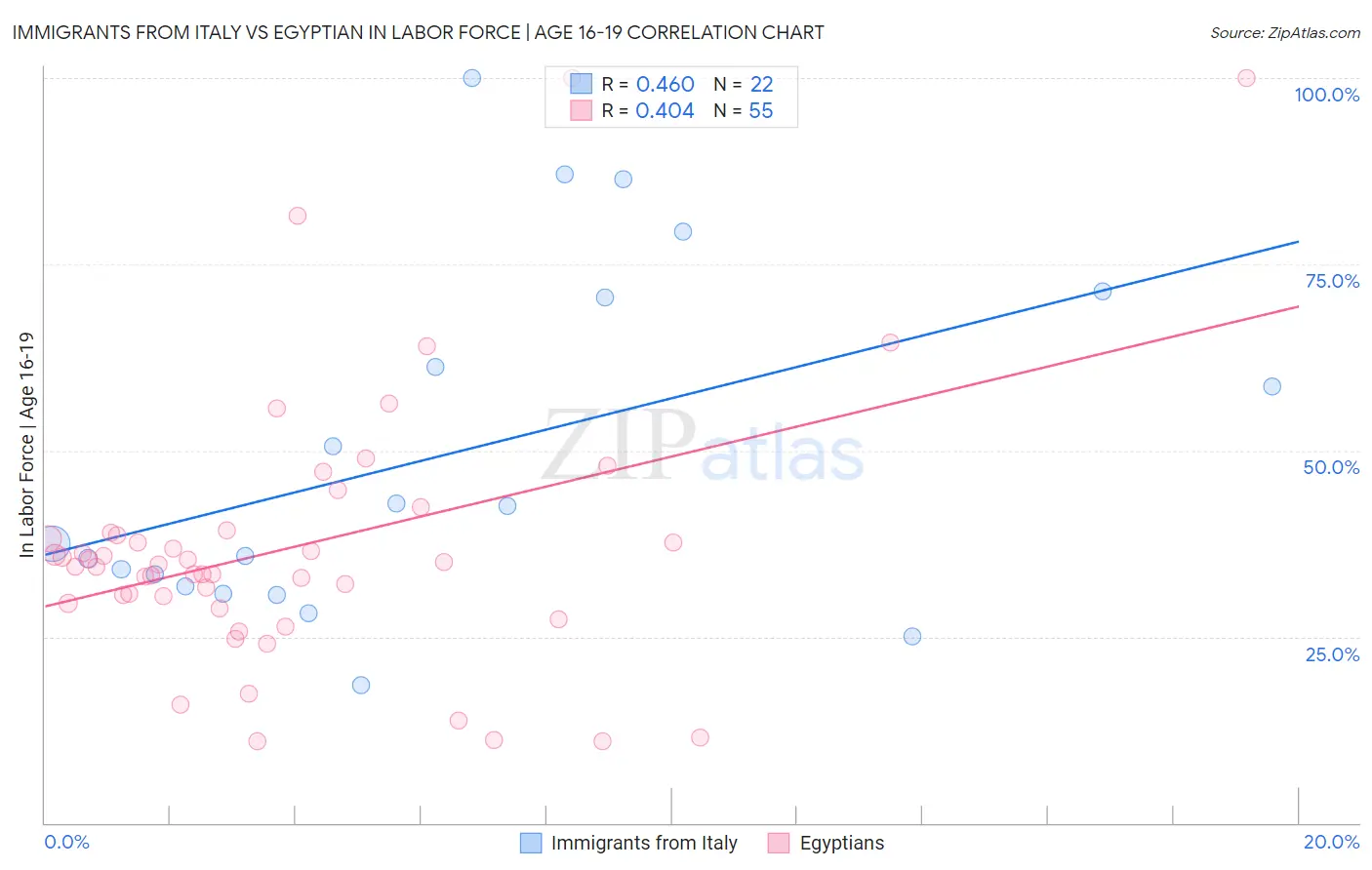 Immigrants from Italy vs Egyptian In Labor Force | Age 16-19