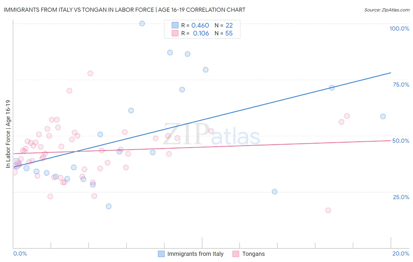 Immigrants from Italy vs Tongan In Labor Force | Age 16-19