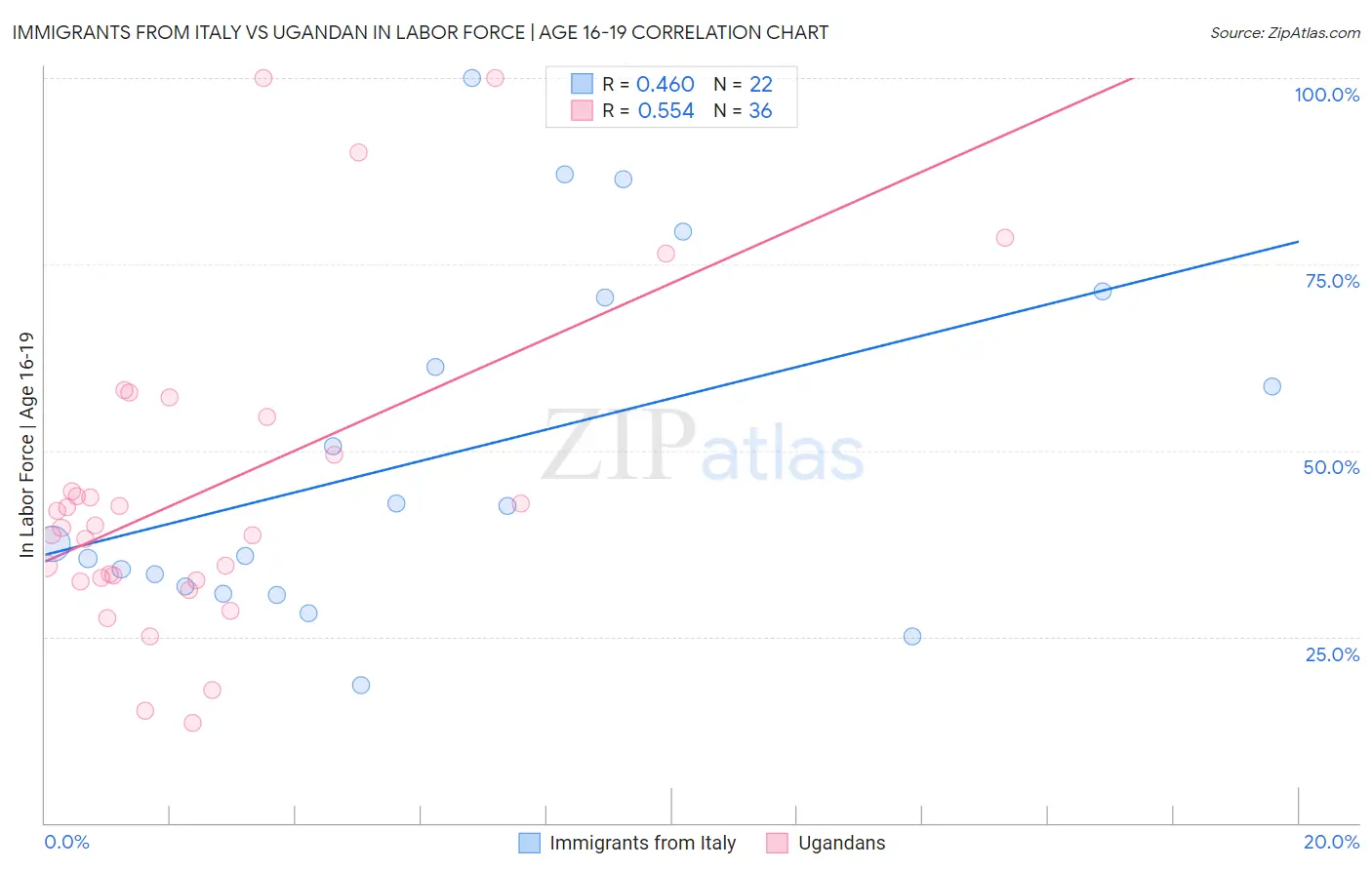 Immigrants from Italy vs Ugandan In Labor Force | Age 16-19