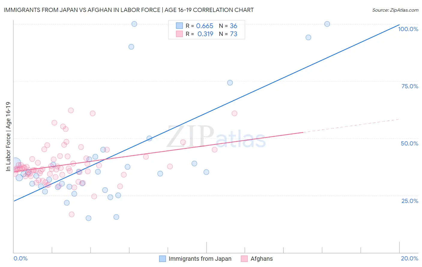 Immigrants from Japan vs Afghan In Labor Force | Age 16-19