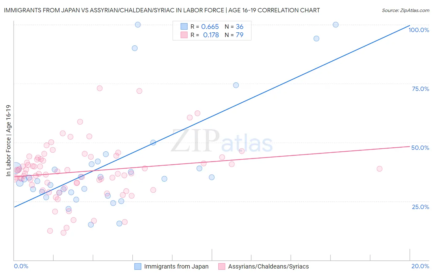 Immigrants from Japan vs Assyrian/Chaldean/Syriac In Labor Force | Age 16-19