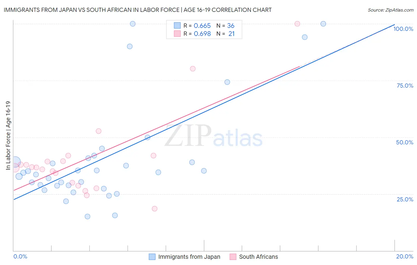 Immigrants from Japan vs South African In Labor Force | Age 16-19