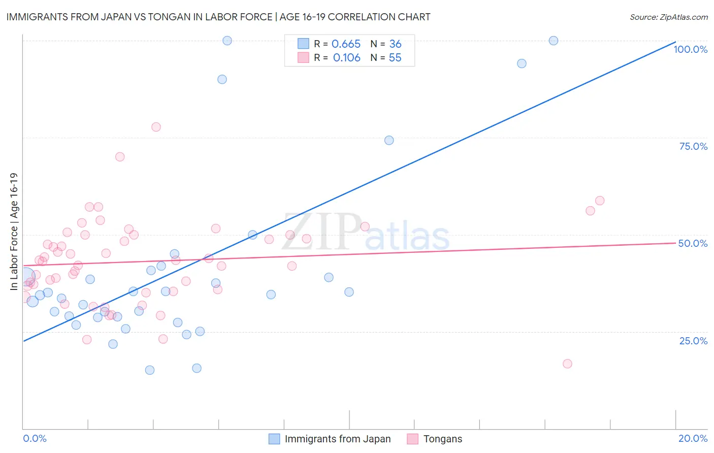 Immigrants from Japan vs Tongan In Labor Force | Age 16-19