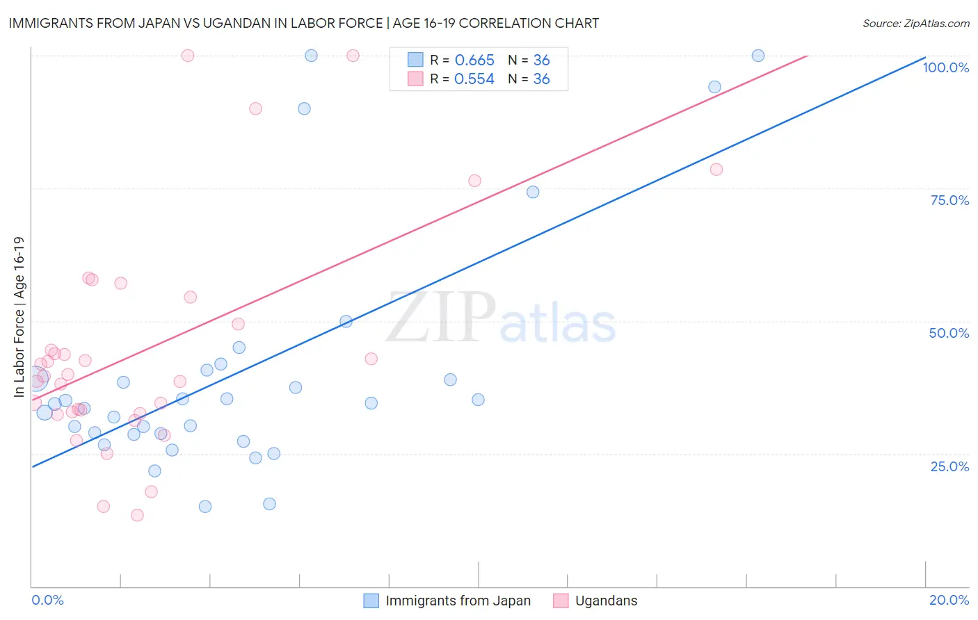 Immigrants from Japan vs Ugandan In Labor Force | Age 16-19