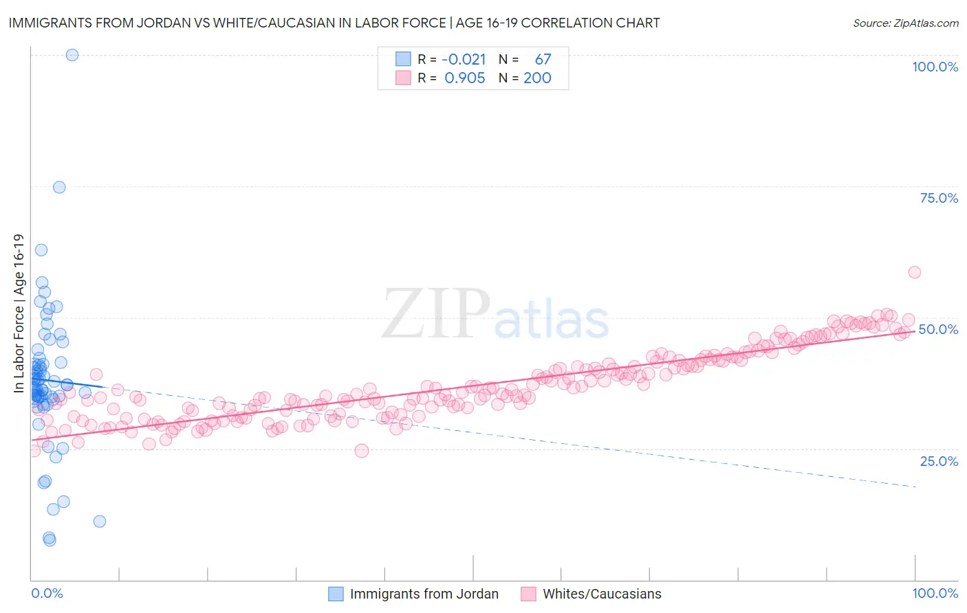 Immigrants from Jordan vs White/Caucasian In Labor Force | Age 16-19