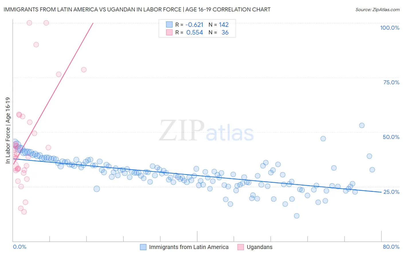 Immigrants from Latin America vs Ugandan In Labor Force | Age 16-19