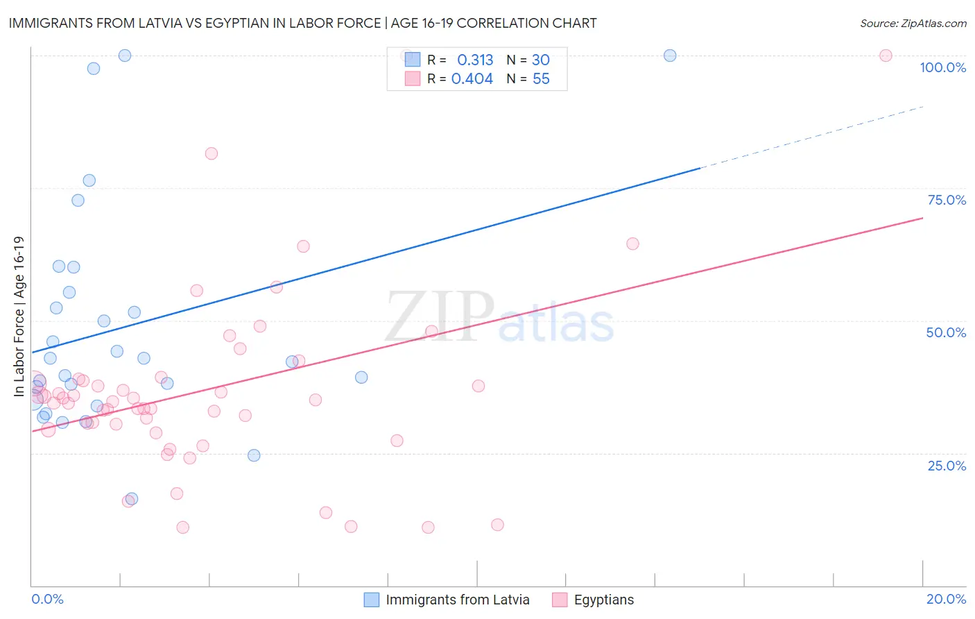 Immigrants from Latvia vs Egyptian In Labor Force | Age 16-19