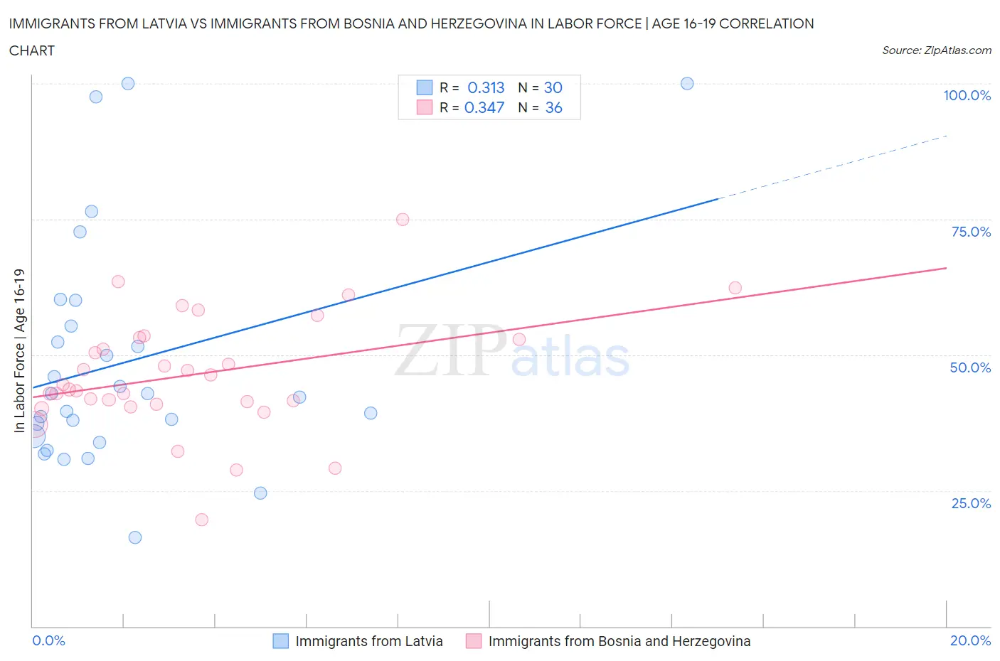 Immigrants from Latvia vs Immigrants from Bosnia and Herzegovina In Labor Force | Age 16-19