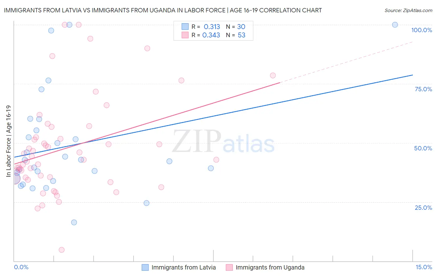 Immigrants from Latvia vs Immigrants from Uganda In Labor Force | Age 16-19