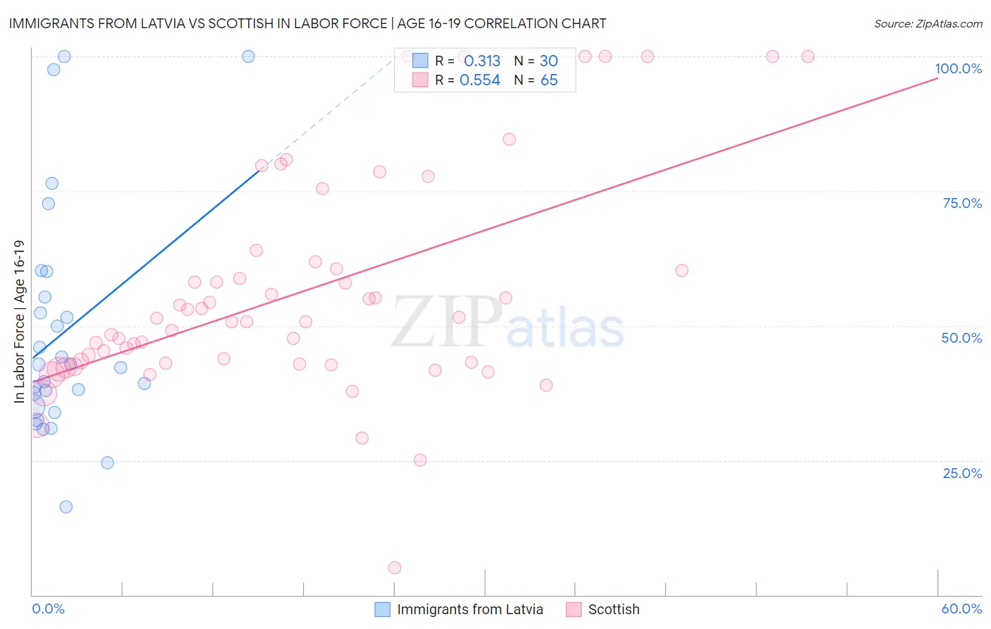 Immigrants from Latvia vs Scottish In Labor Force | Age 16-19