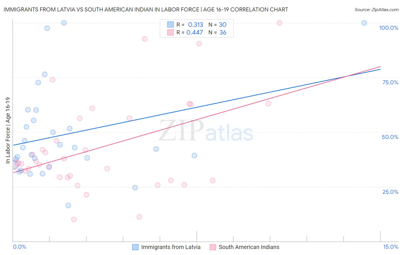 Immigrants from Latvia vs South American Indian In Labor Force | Age 16-19