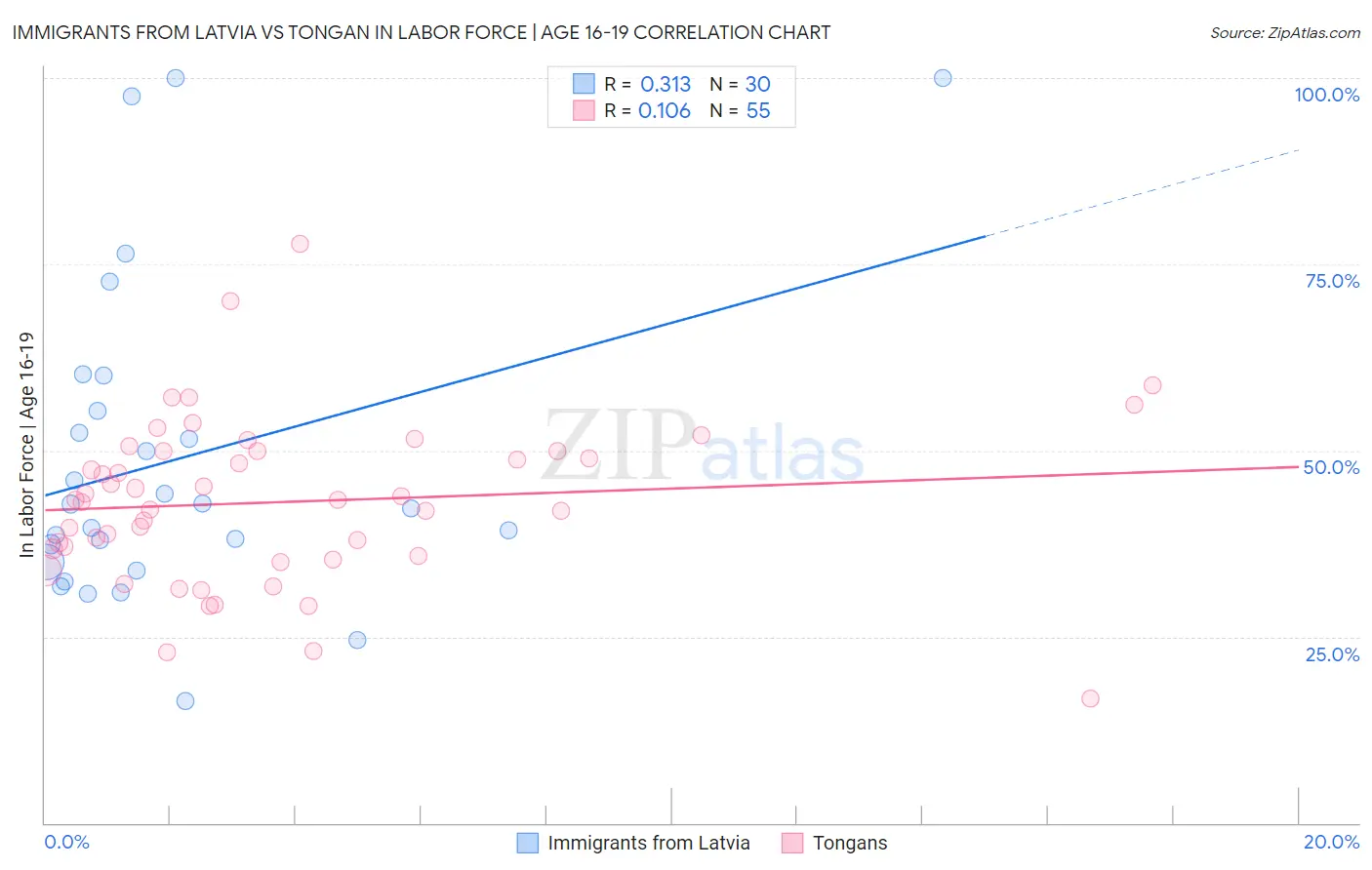 Immigrants from Latvia vs Tongan In Labor Force | Age 16-19