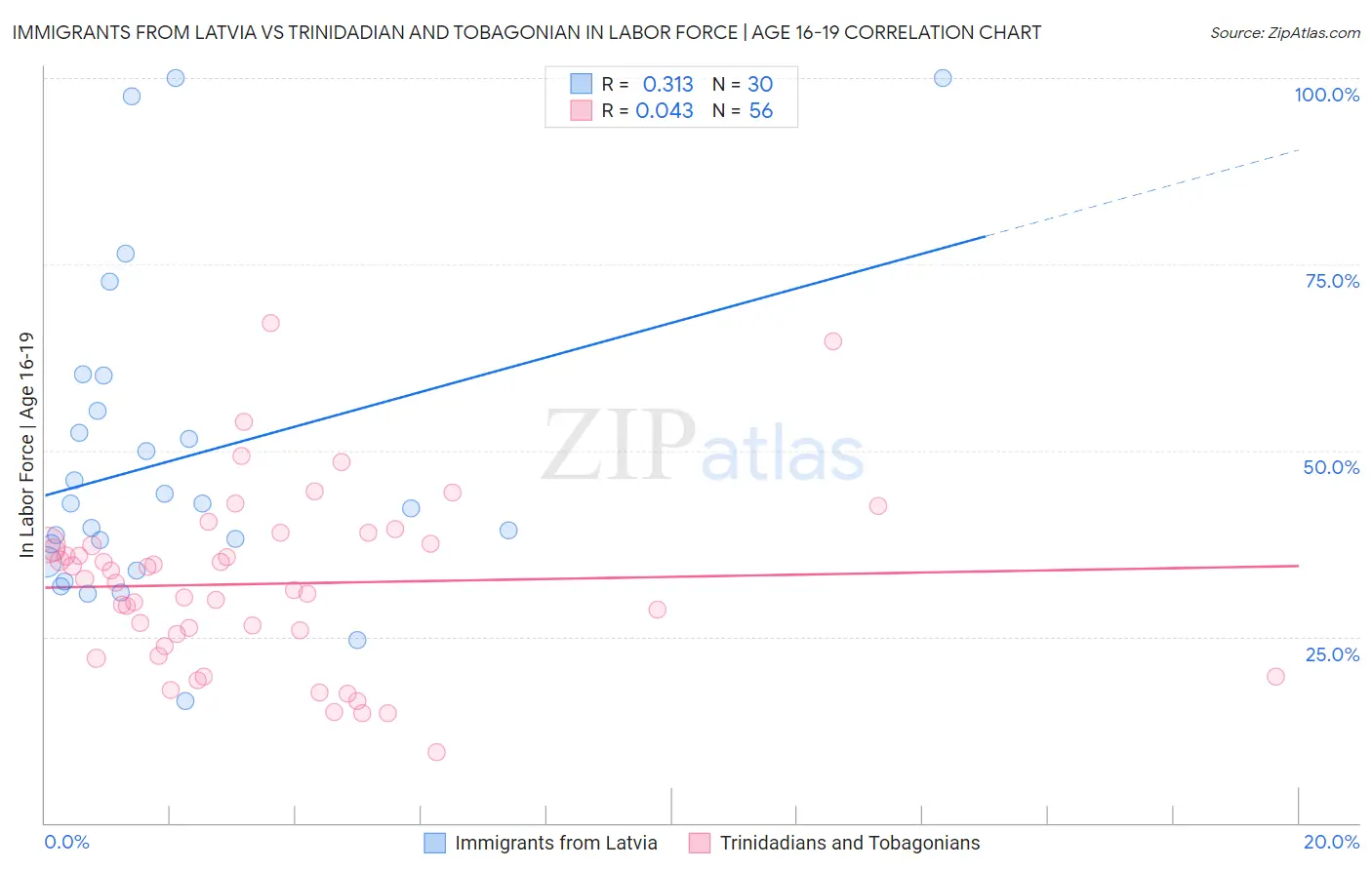 Immigrants from Latvia vs Trinidadian and Tobagonian In Labor Force | Age 16-19