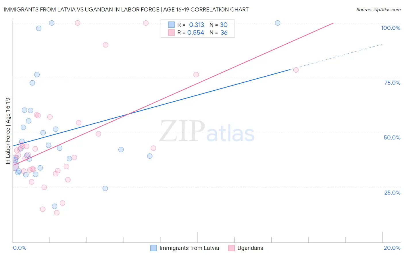 Immigrants from Latvia vs Ugandan In Labor Force | Age 16-19