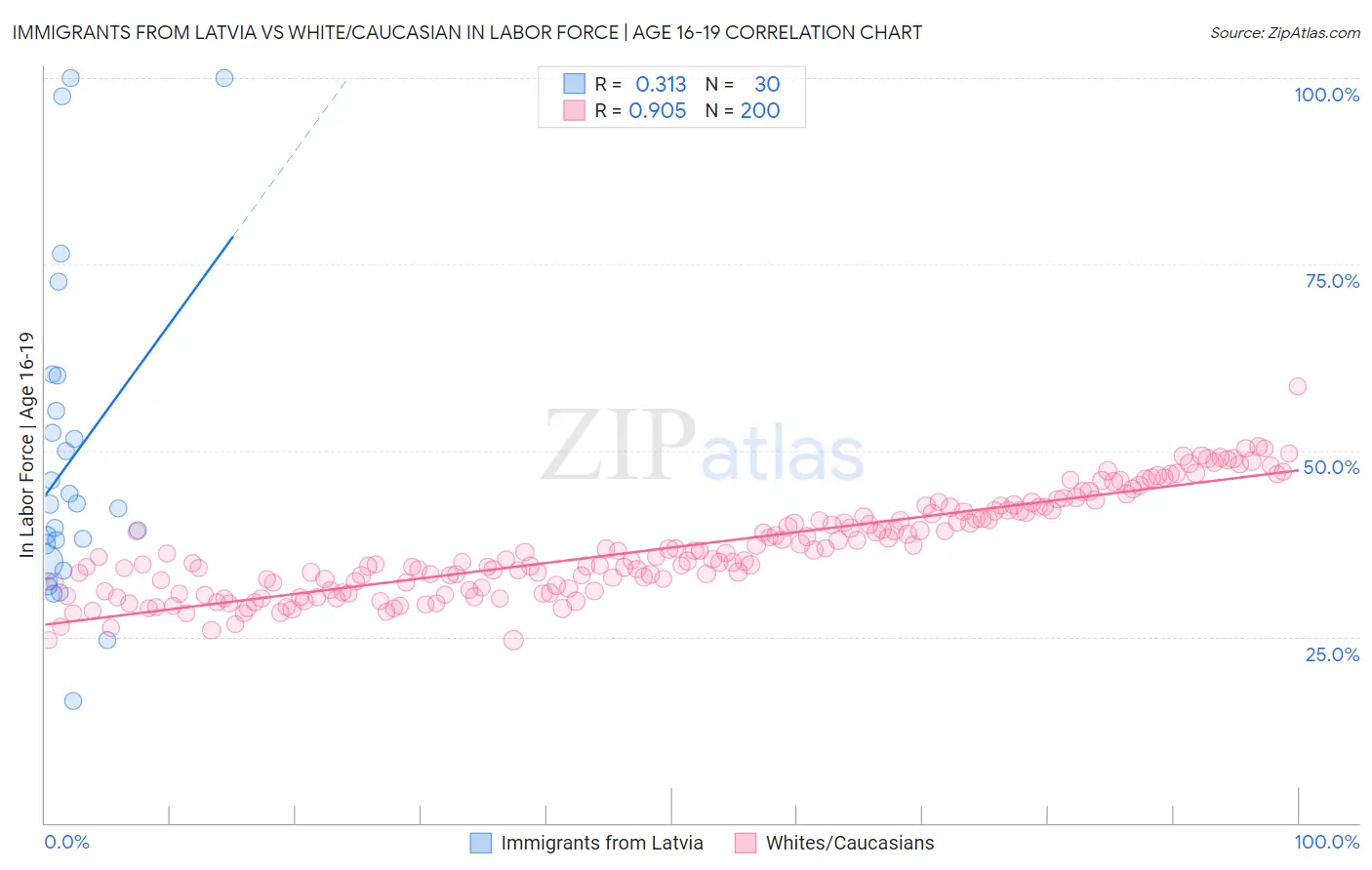 Immigrants from Latvia vs White/Caucasian In Labor Force | Age 16-19