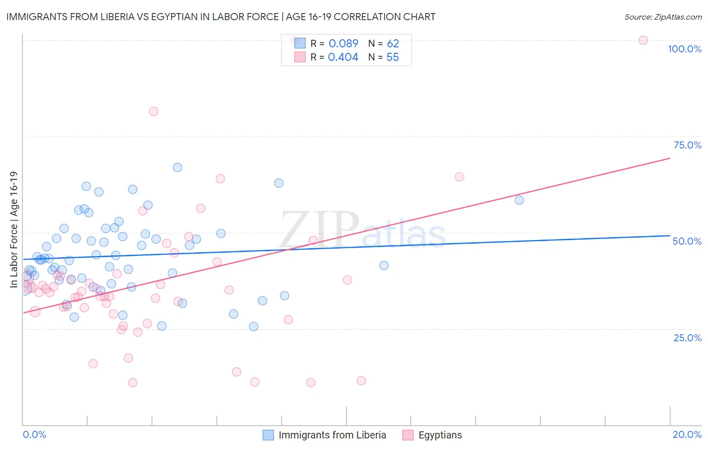 Immigrants from Liberia vs Egyptian In Labor Force | Age 16-19
