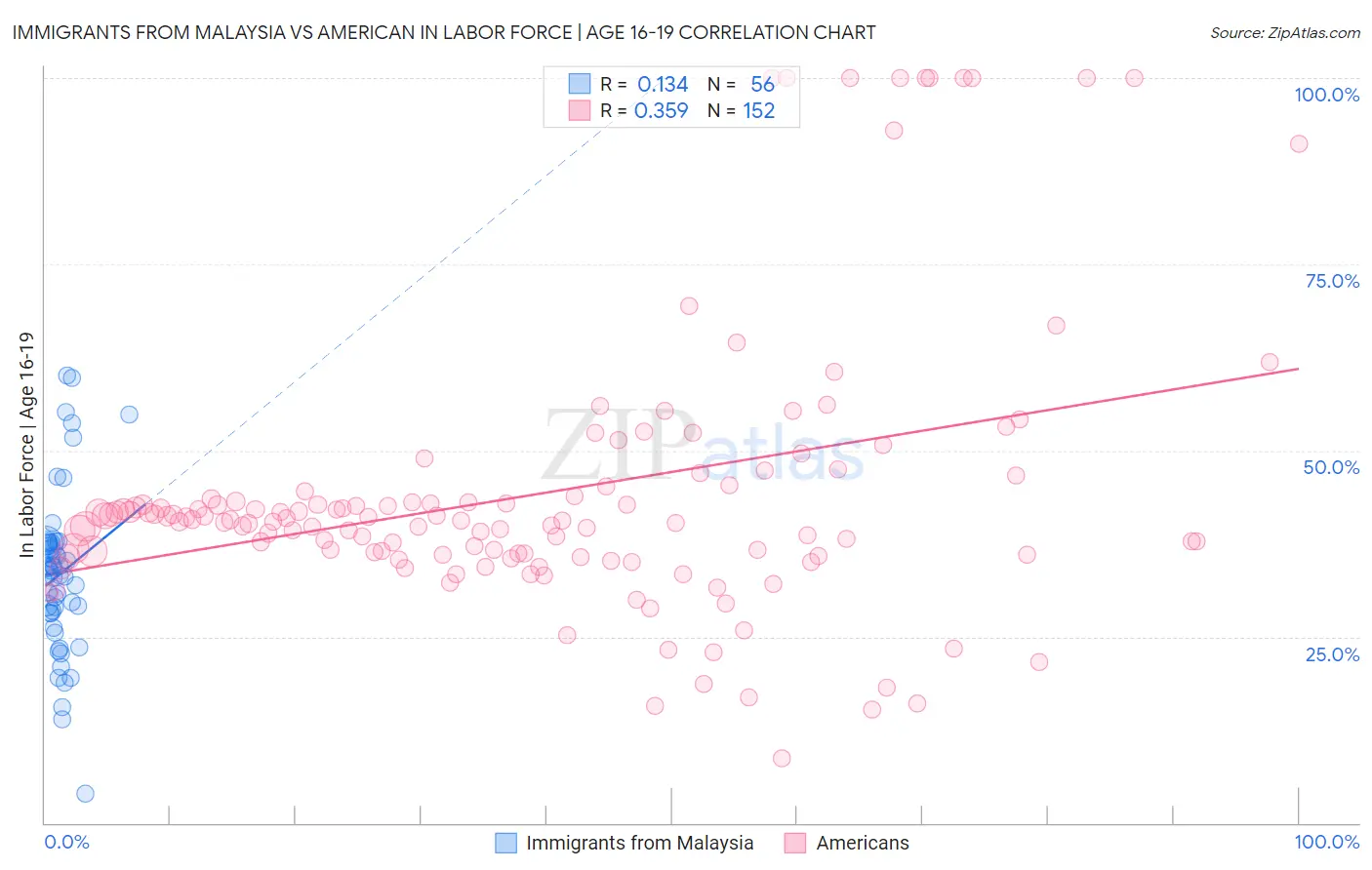 Immigrants from Malaysia vs American In Labor Force | Age 16-19