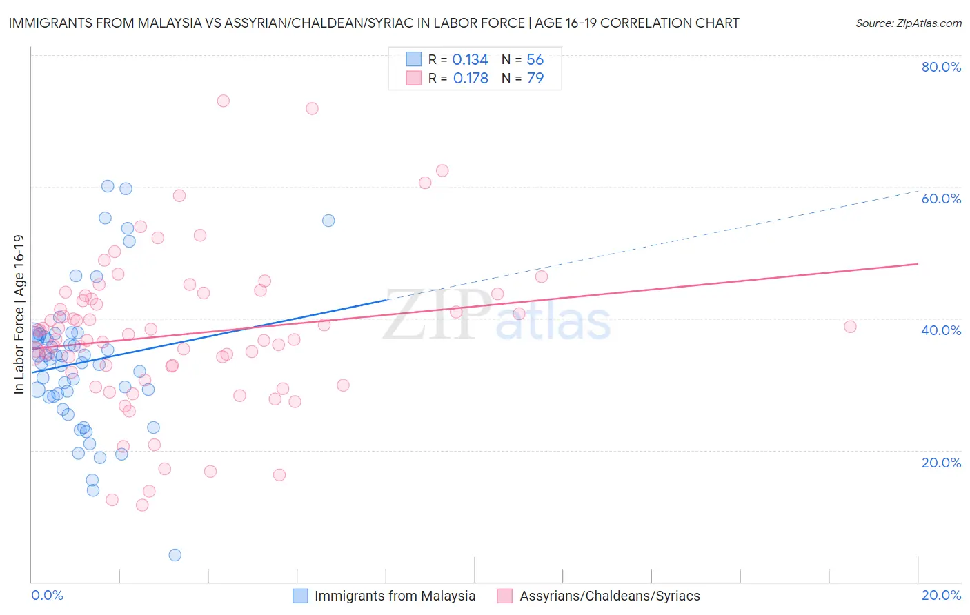 Immigrants from Malaysia vs Assyrian/Chaldean/Syriac In Labor Force | Age 16-19