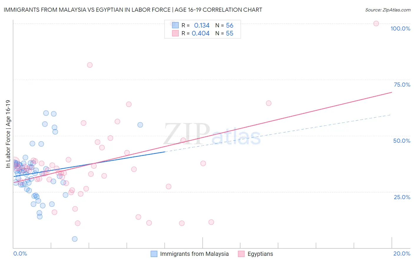 Immigrants from Malaysia vs Egyptian In Labor Force | Age 16-19