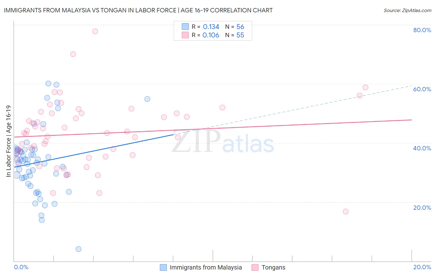 Immigrants from Malaysia vs Tongan In Labor Force | Age 16-19