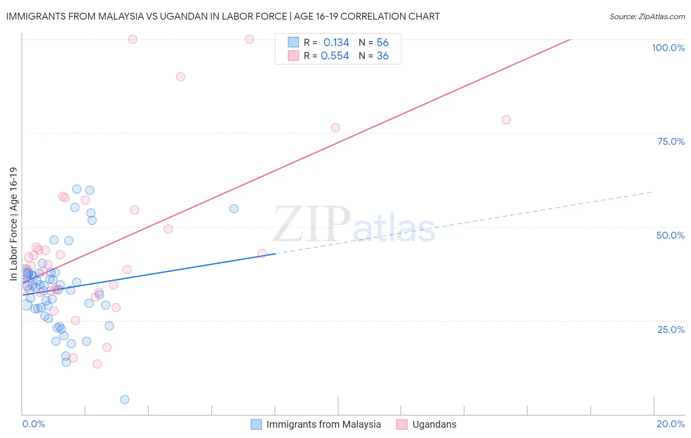 Immigrants from Malaysia vs Ugandan In Labor Force | Age 16-19