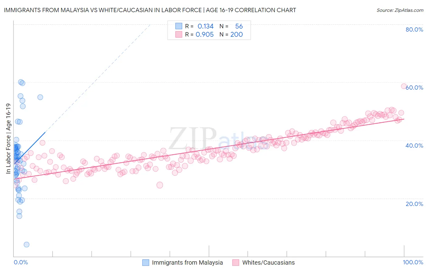 Immigrants from Malaysia vs White/Caucasian In Labor Force | Age 16-19