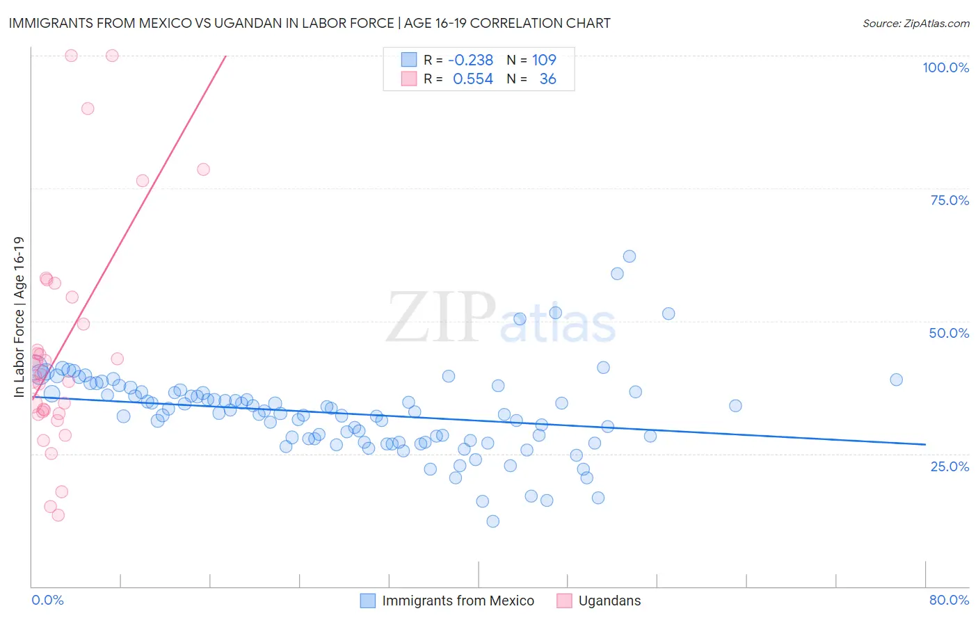 Immigrants from Mexico vs Ugandan In Labor Force | Age 16-19