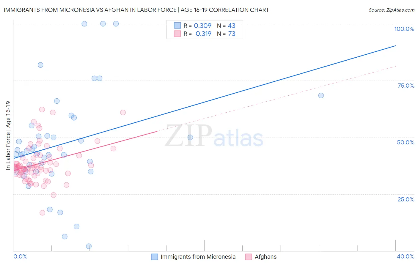 Immigrants from Micronesia vs Afghan In Labor Force | Age 16-19