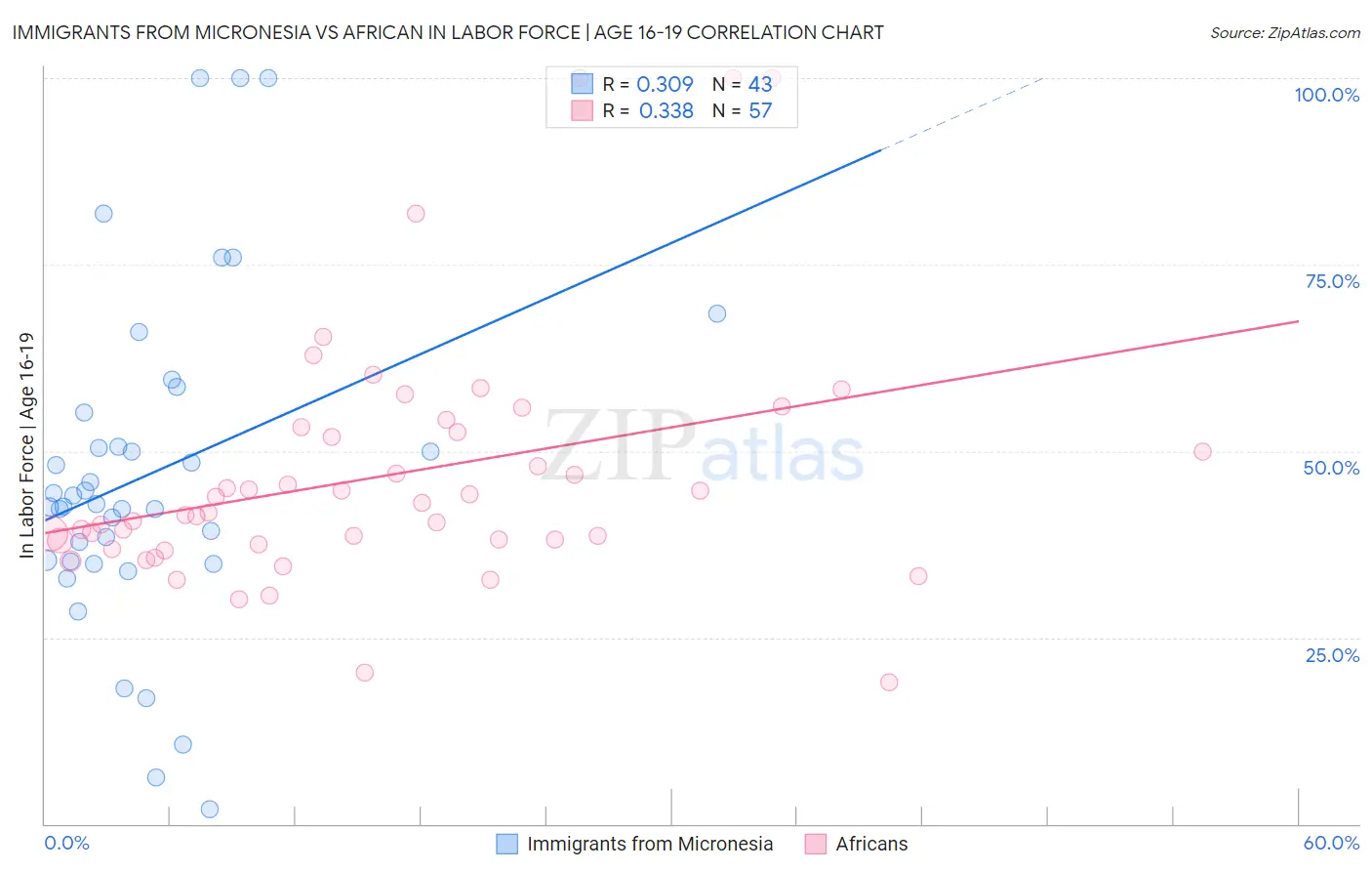 Immigrants from Micronesia vs African In Labor Force | Age 16-19