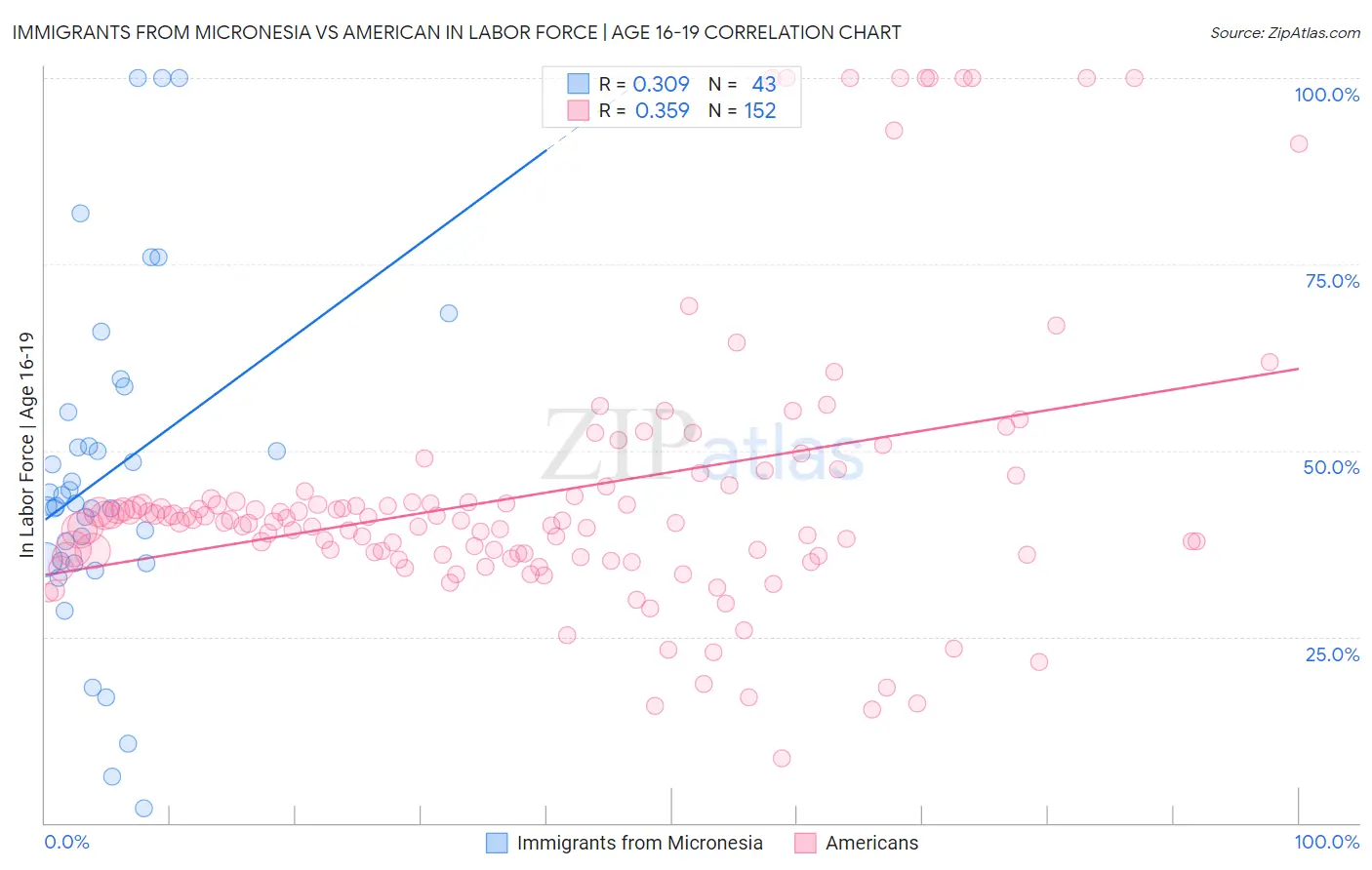 Immigrants from Micronesia vs American In Labor Force | Age 16-19