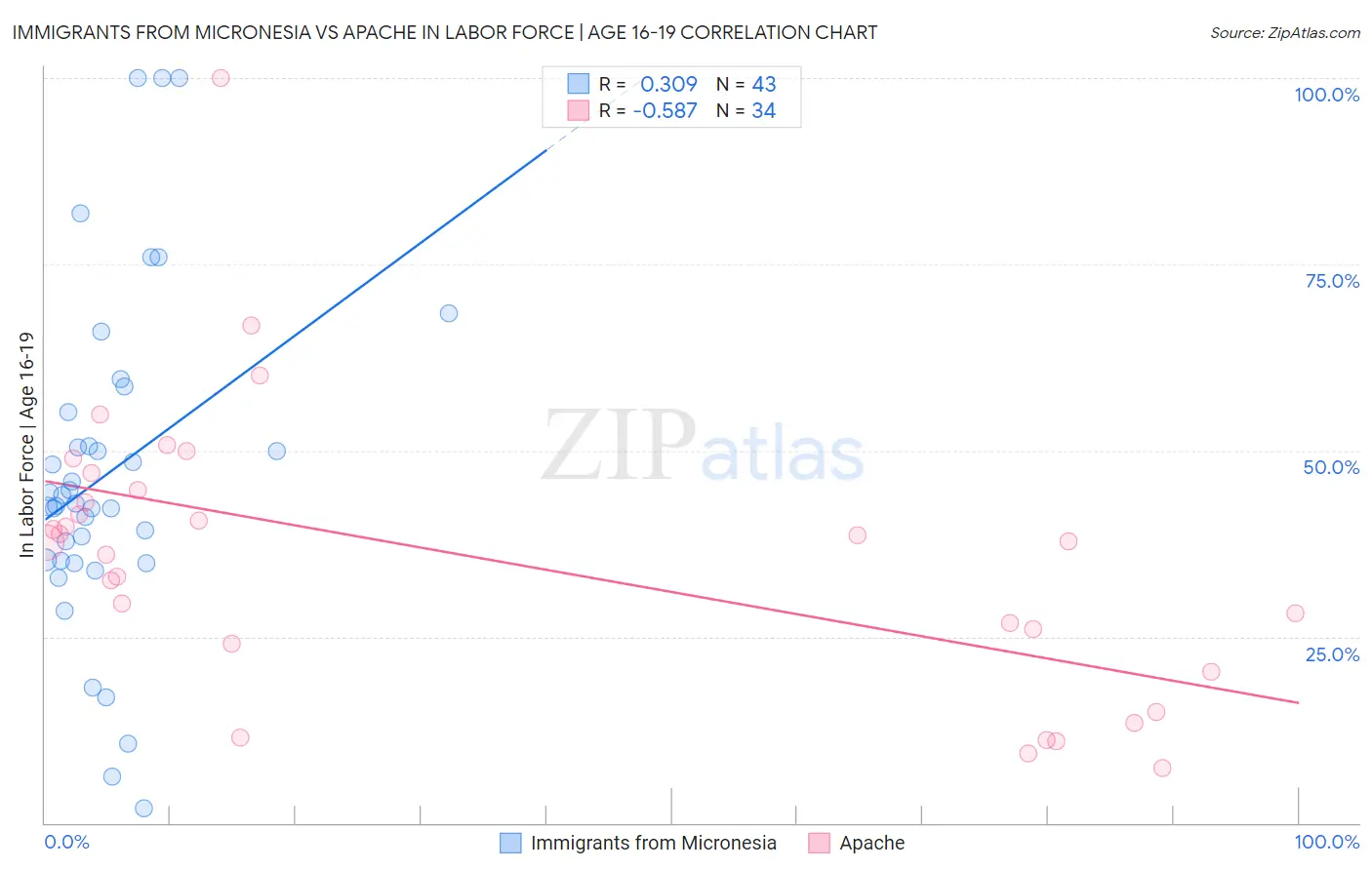 Immigrants from Micronesia vs Apache In Labor Force | Age 16-19