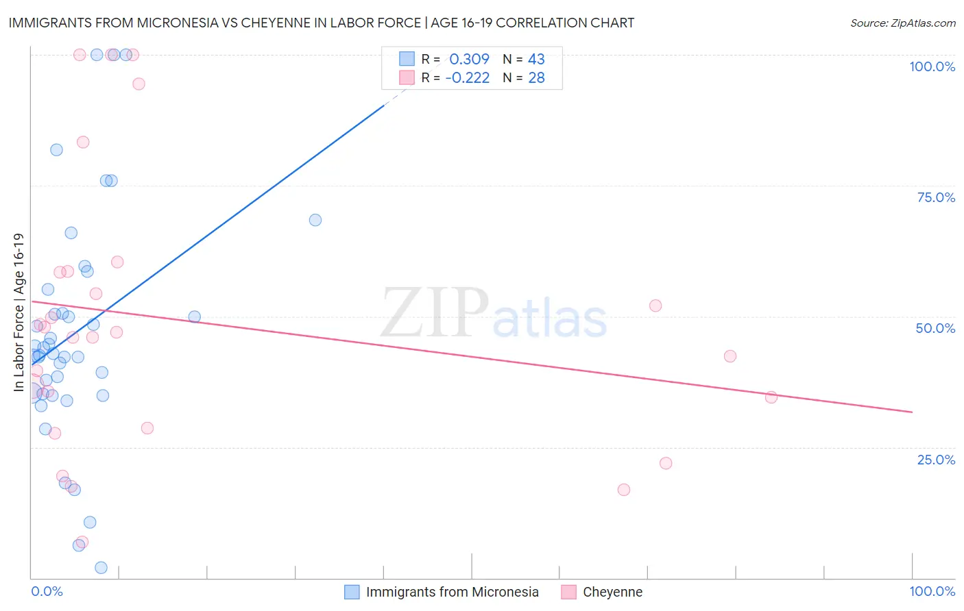 Immigrants from Micronesia vs Cheyenne In Labor Force | Age 16-19