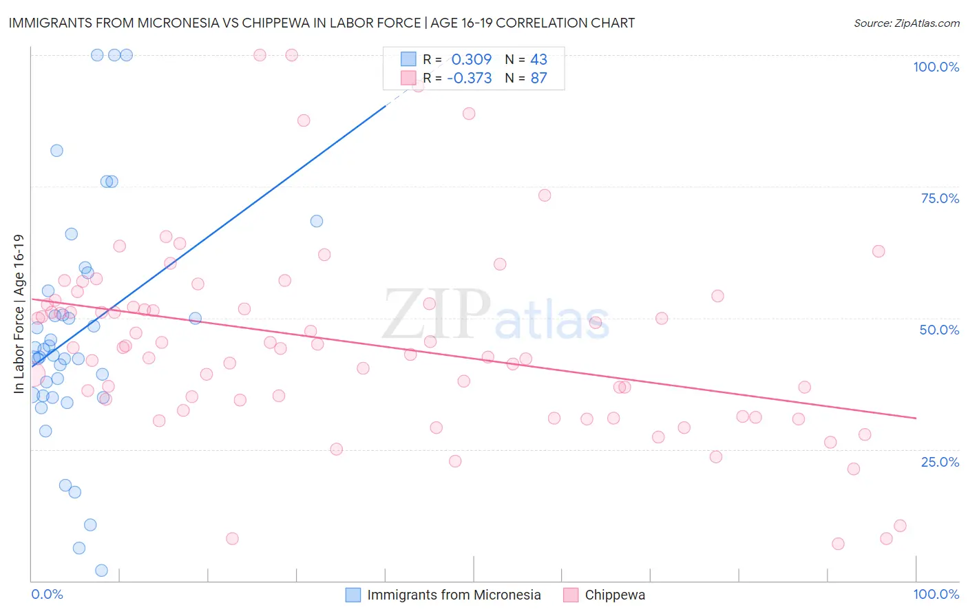 Immigrants from Micronesia vs Chippewa In Labor Force | Age 16-19