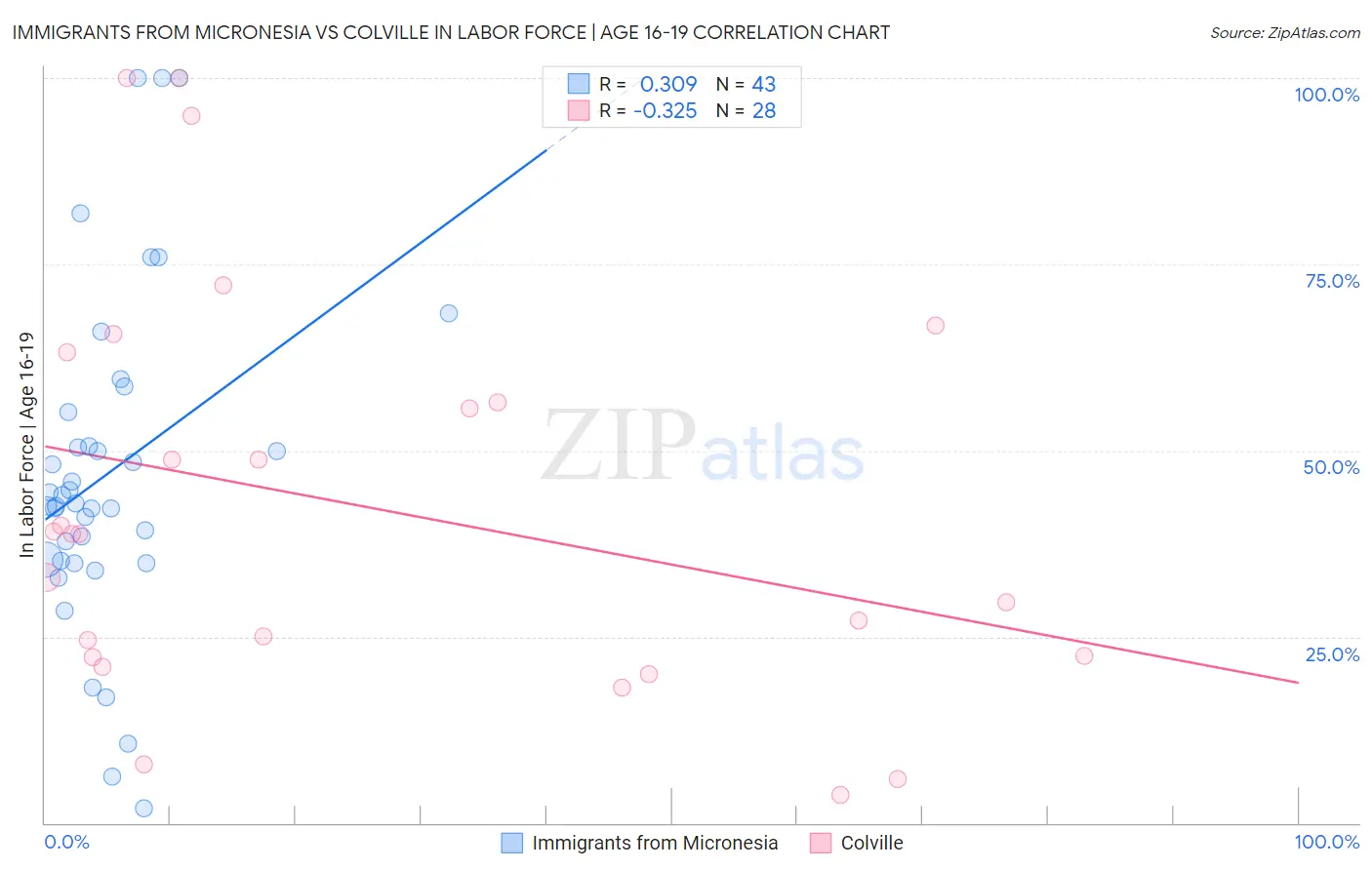 Immigrants from Micronesia vs Colville In Labor Force | Age 16-19