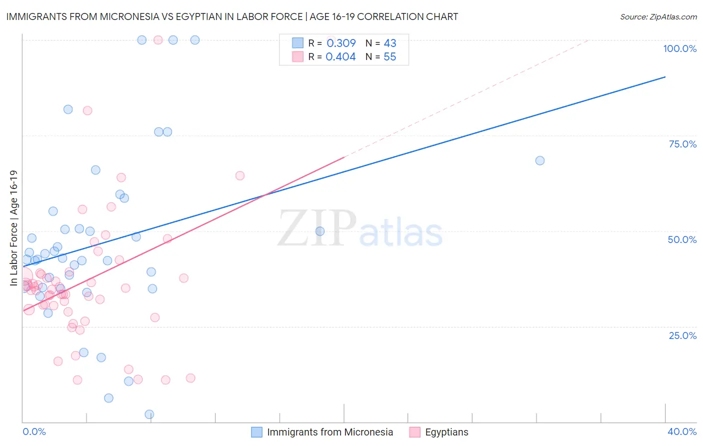 Immigrants from Micronesia vs Egyptian In Labor Force | Age 16-19