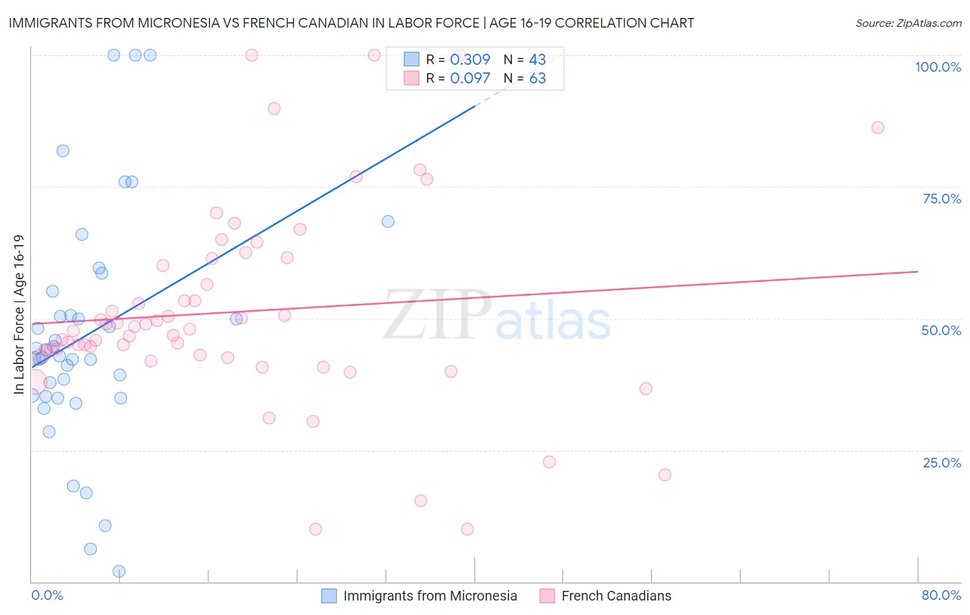 Immigrants from Micronesia vs French Canadian In Labor Force | Age 16-19