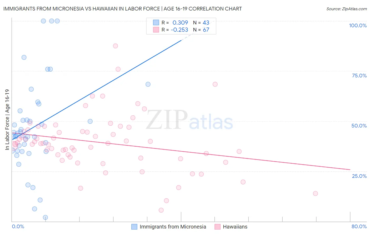 Immigrants from Micronesia vs Hawaiian In Labor Force | Age 16-19