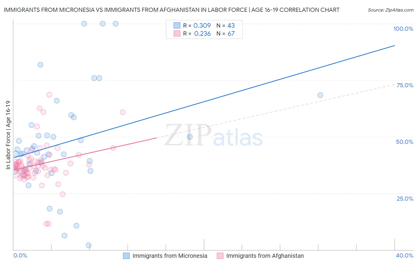 Immigrants from Micronesia vs Immigrants from Afghanistan In Labor Force | Age 16-19
