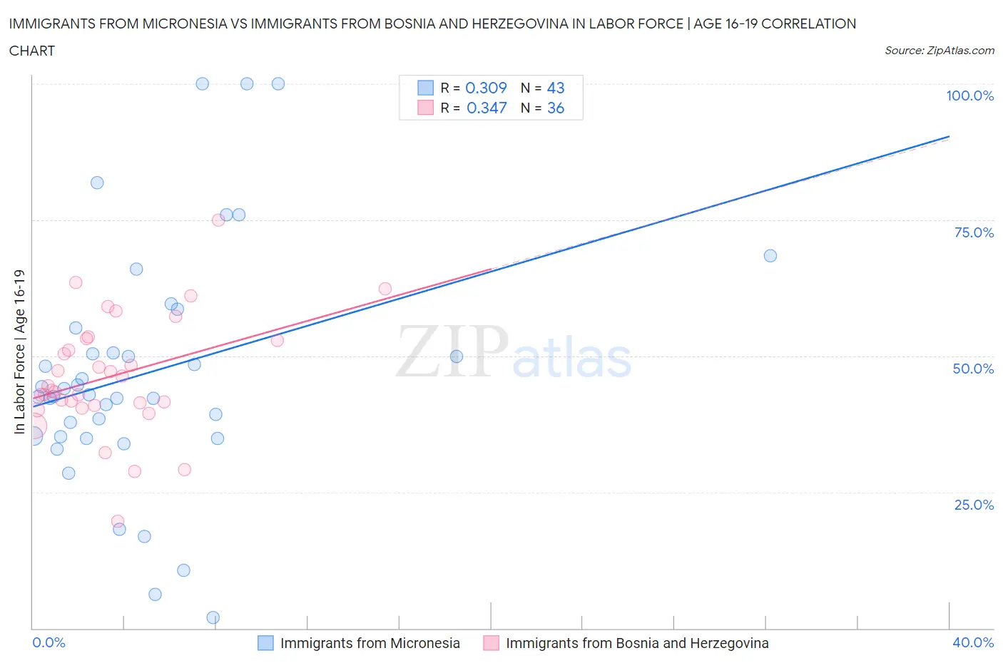 Immigrants from Micronesia vs Immigrants from Bosnia and Herzegovina In Labor Force | Age 16-19
