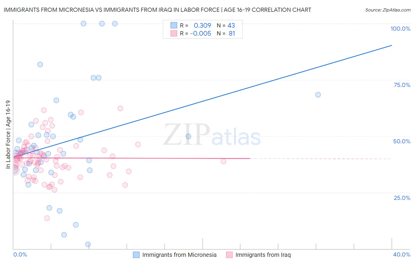 Immigrants from Micronesia vs Immigrants from Iraq In Labor Force | Age 16-19