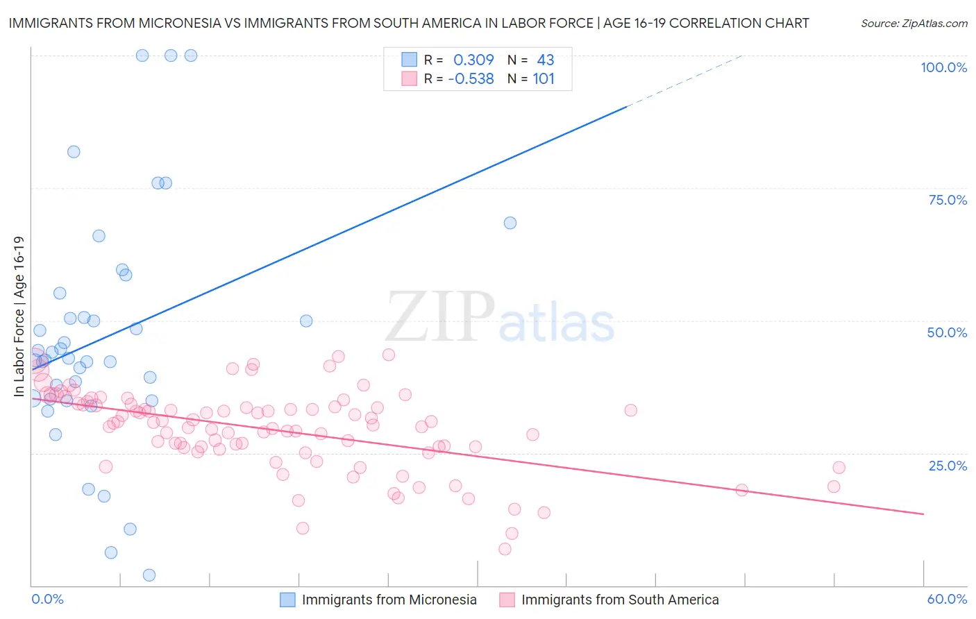 Immigrants from Micronesia vs Immigrants from South America In Labor Force | Age 16-19