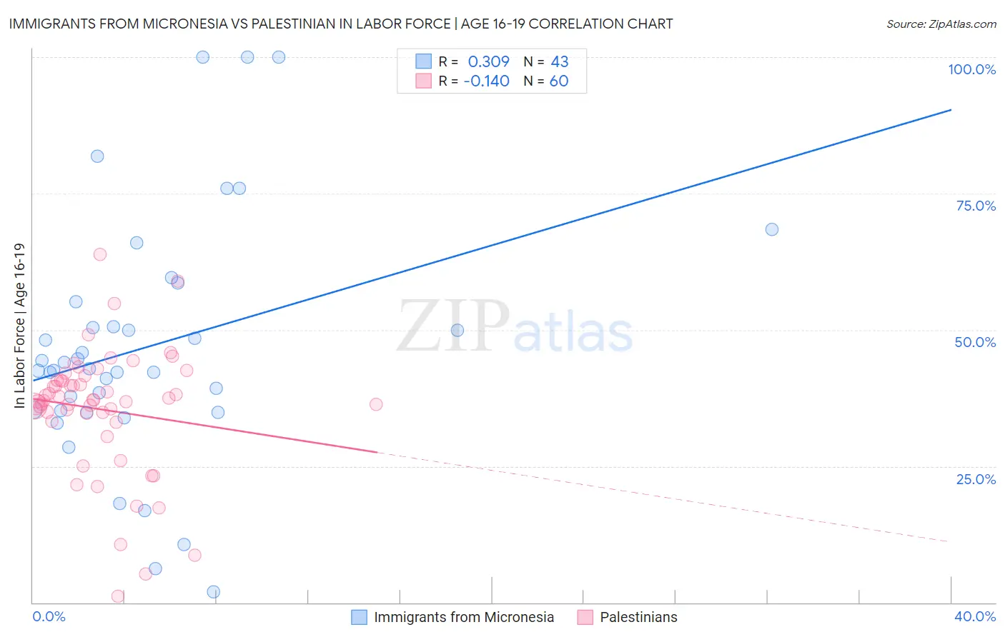 Immigrants from Micronesia vs Palestinian In Labor Force | Age 16-19