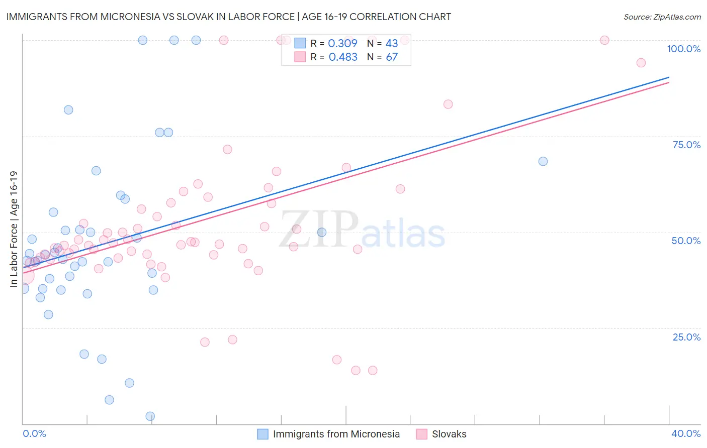 Immigrants from Micronesia vs Slovak In Labor Force | Age 16-19
