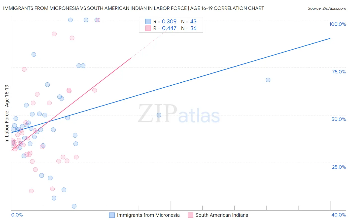 Immigrants from Micronesia vs South American Indian In Labor Force | Age 16-19