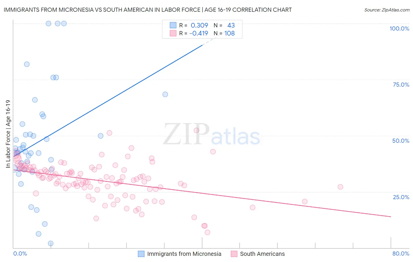 Immigrants from Micronesia vs South American In Labor Force | Age 16-19