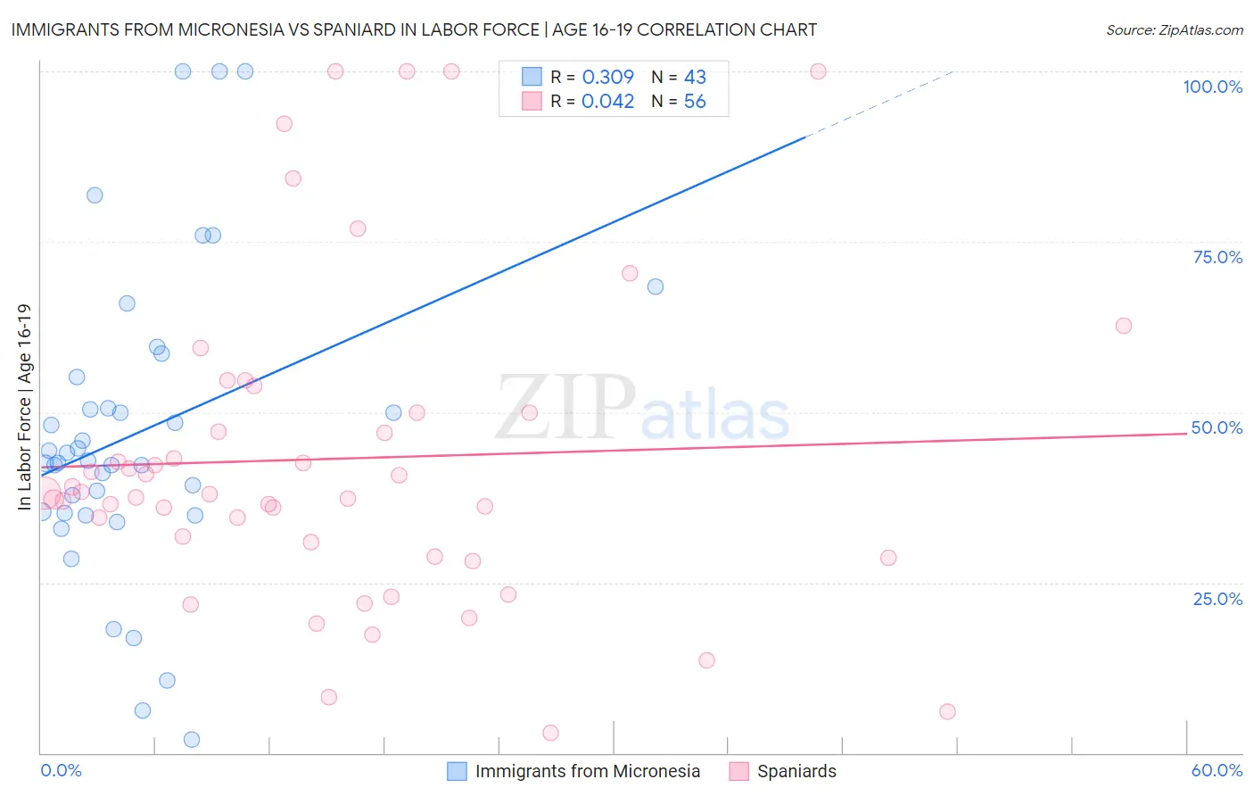 Immigrants from Micronesia vs Spaniard In Labor Force | Age 16-19