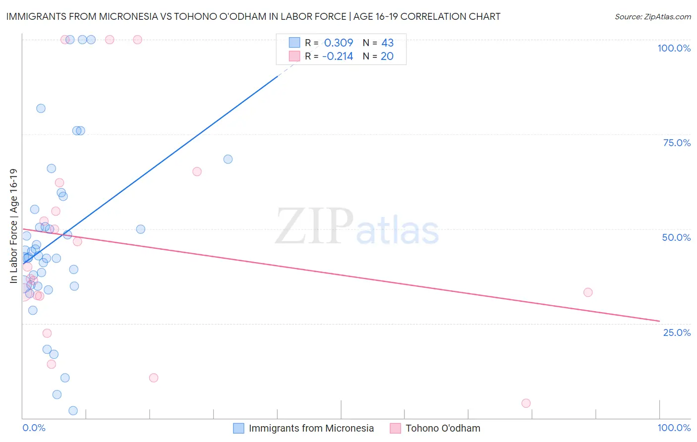 Immigrants from Micronesia vs Tohono O'odham In Labor Force | Age 16-19
